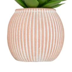 MINI PLANTE GRASSE POT CIMENT UBI H.7CM