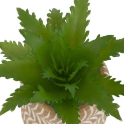 MINI PLANTE GRASSE POT CIMENT UBI H.7CM