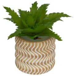 MINI PLANTE GRASSE POT CIMENT UBI H.7CM