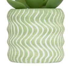 MINI PLANTE GRASSE POT CIMENT UBI H.7CM