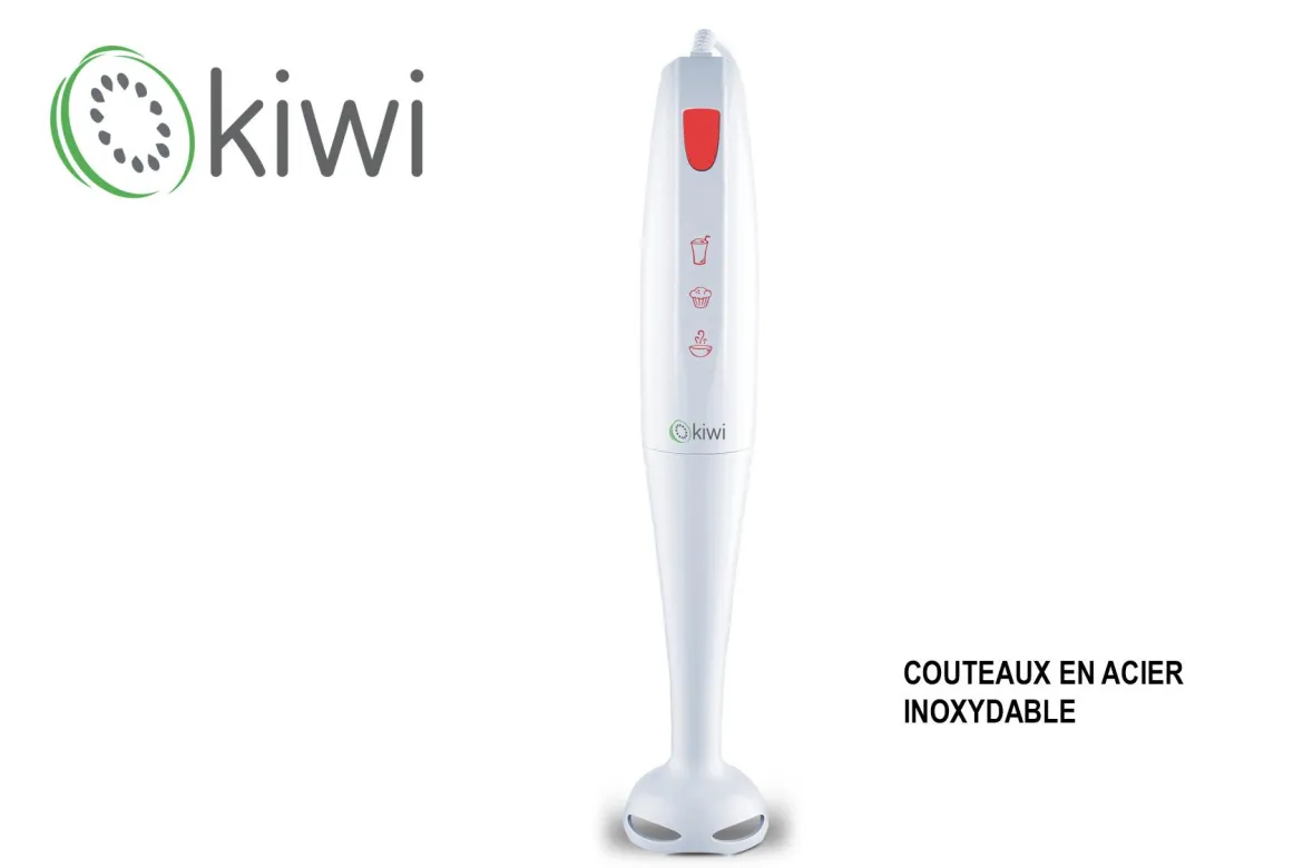 MIXEUR PLONGEANT 200W