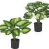 MONSTERA ET DIEFFENBACHIA 15 FEUILLES POT H.50CM