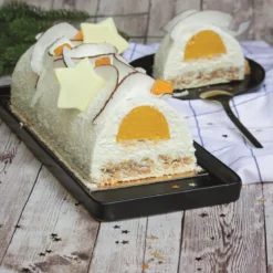 MOULE INSERT BUCHE
