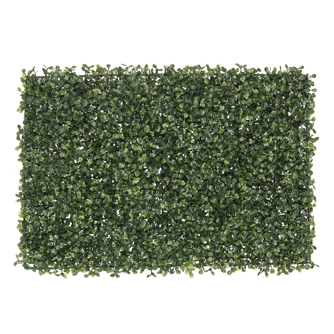 MUR VEGETAL BUIS RECTANGULAIRE 60X40CM