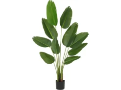 OISEAU DE PARADIS 10 FEUILLES H160CM