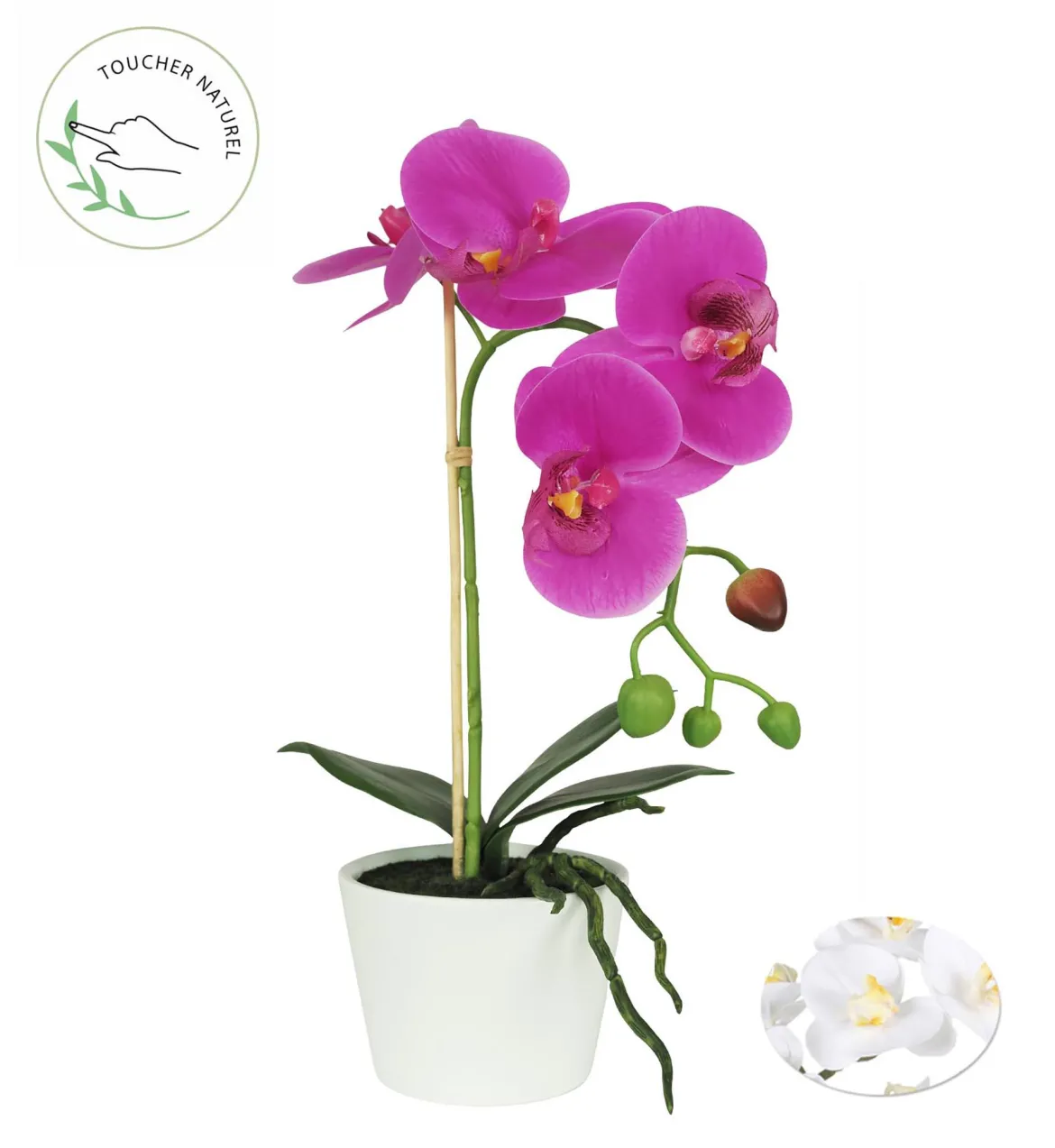 ORCHIDEE POT CERAMIQUE BLANC H.30CM