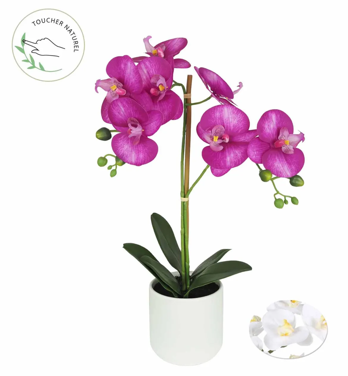 ORCHIDEE POT CERAMIQUE BLANC H.52CM BLANC ET FUCHSIA