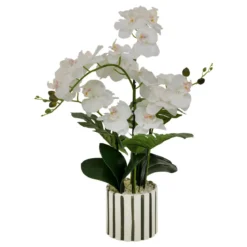 ORCHIDEE POT CERAMIQUE RAYE ASIA H.62CM