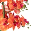 ORCHIDEE POT CIMENT SANAE ORANGE H.65CM
