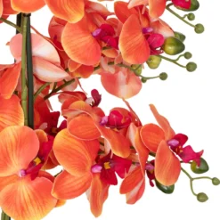 ORCHIDEE POT CIMENT SANAE ORANGE H.65CM