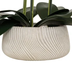 ORCHIDEE POT CIMENT SANAE ORANGE H.65CM