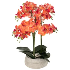 ORCHIDEE POT CIMENT SANAE ORANGE H.65CM