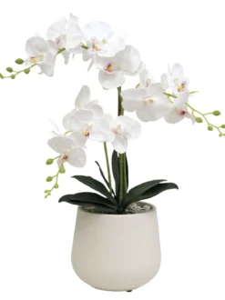 ORCHIDEES 3 BRANCHES EN POT H60CM BLANC
