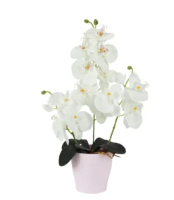 ORCHIDEES 13 FLEURS POT PLASTIQUE H.44CM