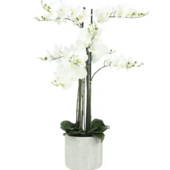ORCHIDEES GEANTES X9 BRANCHES FLEURS TOUCHER NATUREL H.105CM