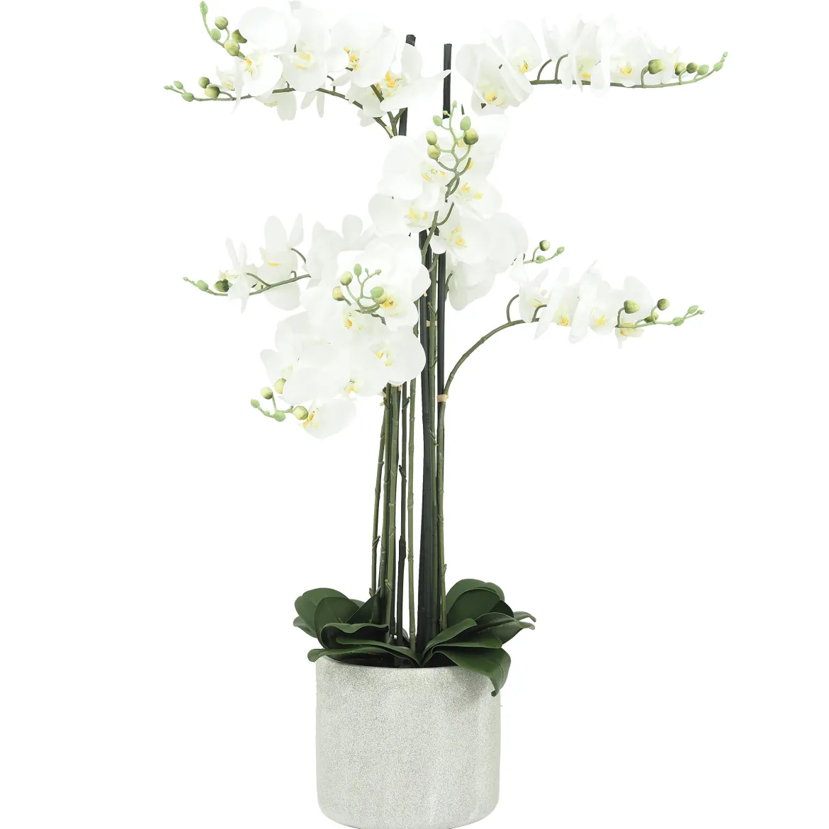 ORCHIDEES GEANTES X9 BRANCHES FLEURS TOUCHER NATUREL H.105CM