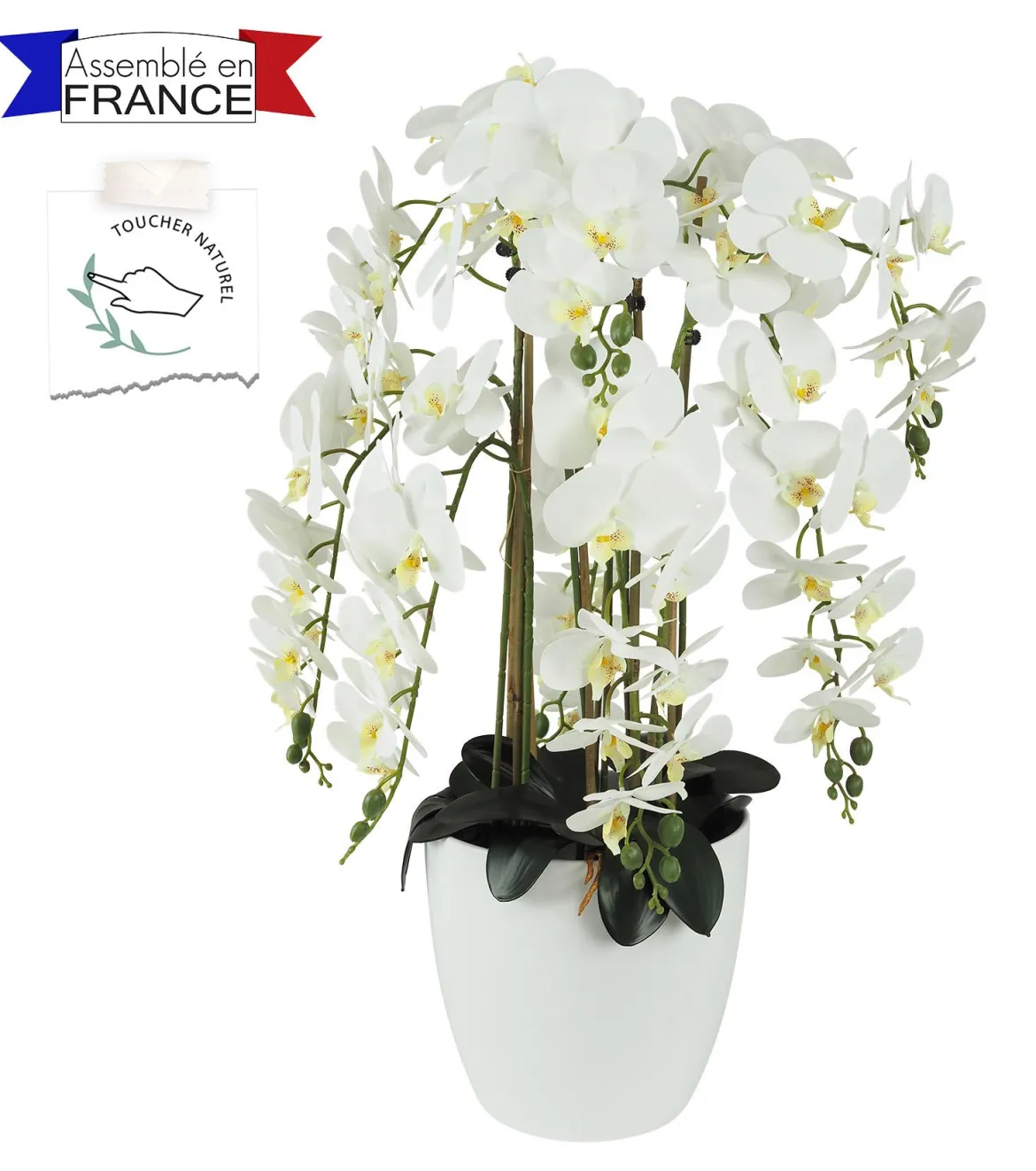ORCHIDEES X9 BRANCHES FLEURS TOUCHER NATUREL BLANC H.87CM