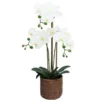 ORCHIDEES X3 EN POT CIMENT EFFET CANNAGE H.63CM