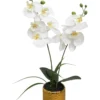ORCHIDEES X9 FLEURS POT CERAMIQUE DORE MARTELE H.50CM