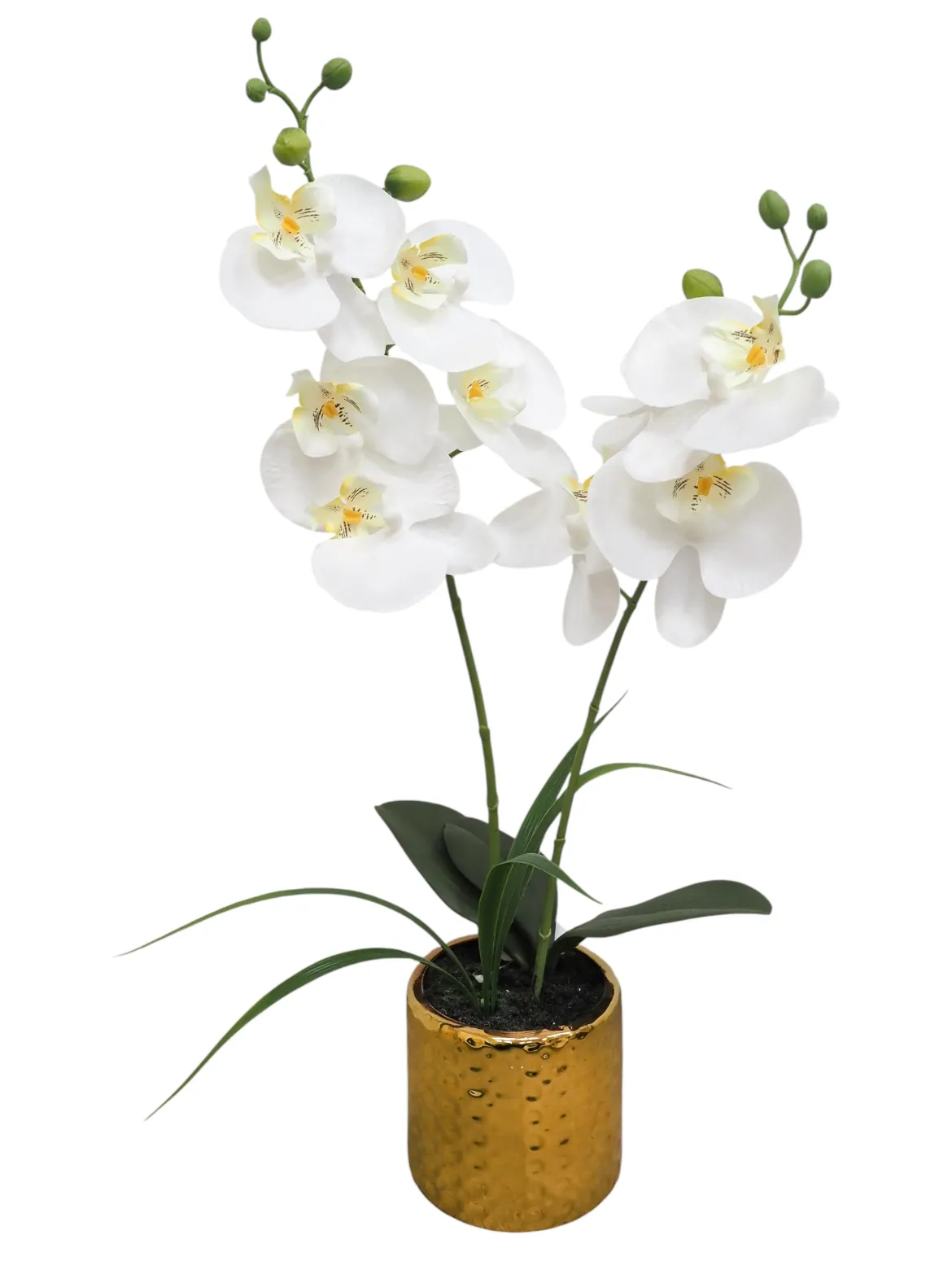 ORCHIDEES X9 FLEURS POT CERAMIQUE DORE MARTELE H.50CM