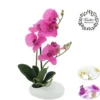 ORCHIDEES X2 TOUCHER NATUREL COUPE CERAMIQUE H.36CM