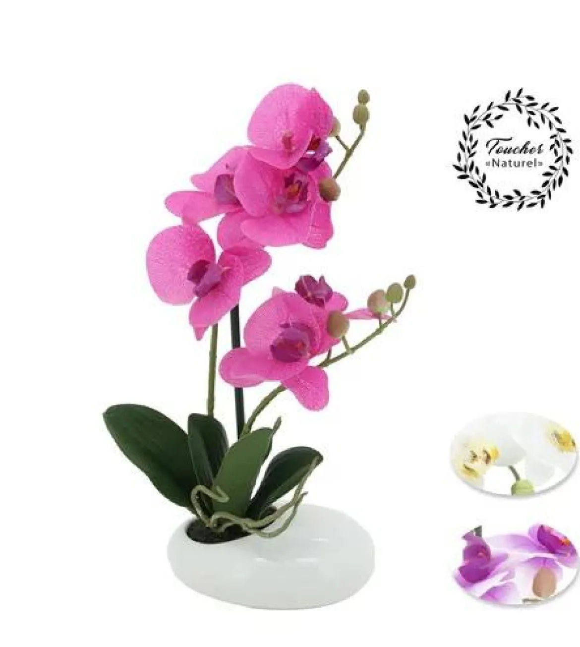 ORCHIDEES X2 TOUCHER NATUREL COUPE CERAMIQUE H.36CM