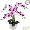 ORCHIDEES X6 TOUCHER NATUREL COUPE CERAMIQUE BLANC H.55CM
