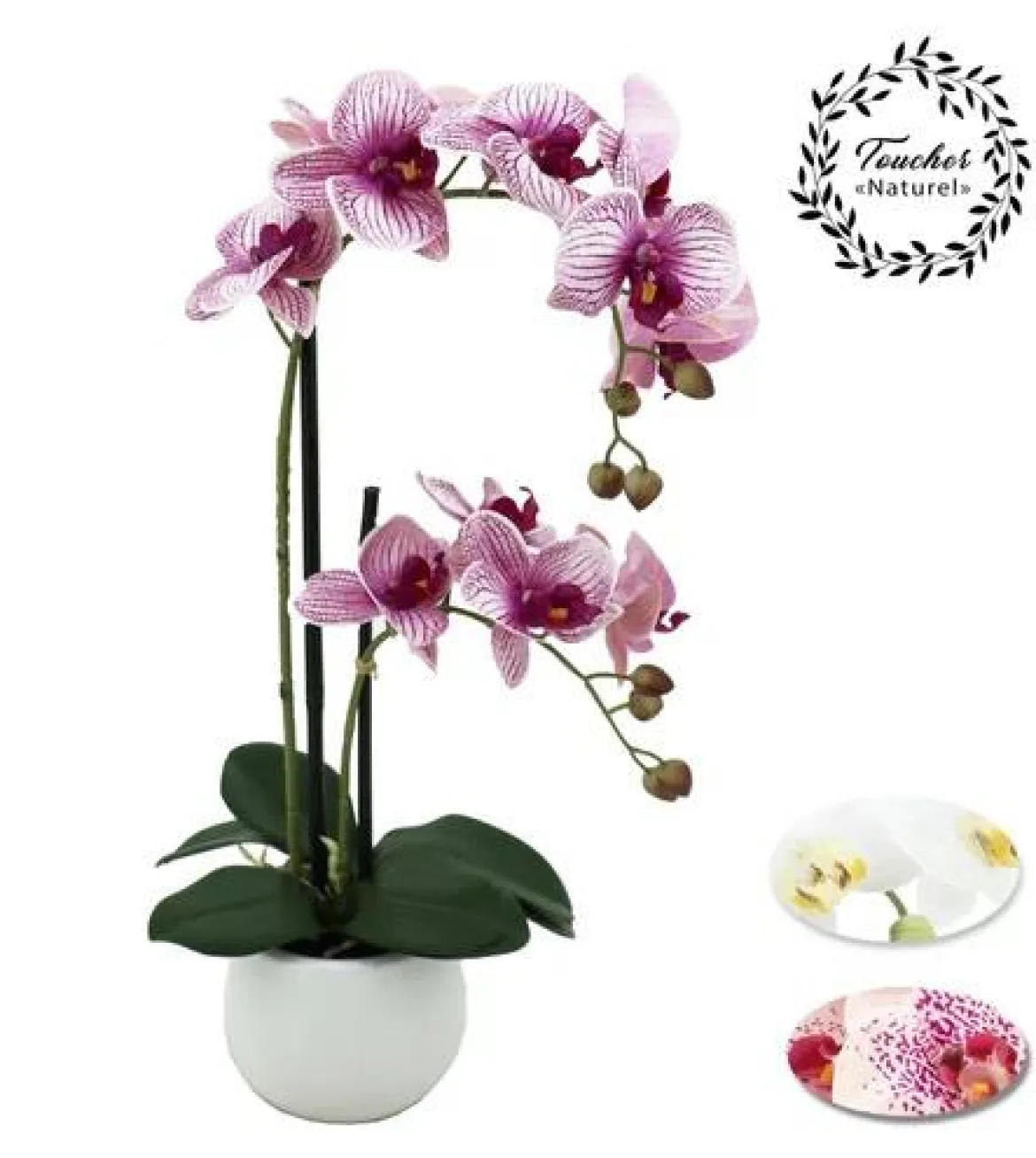 ORCHIDEES X2 TOUCHER NATUREL POT CERAMIQUE BLANC H.51CM