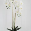 ORCHIDEE TOUCHER NATUREL 16 FLEURS POT PLASTIQUE H.100CM