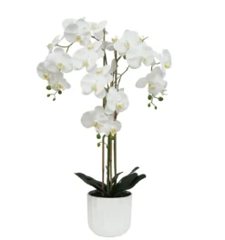 ORCHIDEE TOUCHER NATUREL 26 FLEURS POT PLASTIQUE H.100CM
