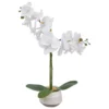 ORCHIDE POT CERAMIQUE CLERA H.52CM