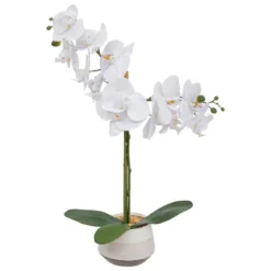 ORCHIDE POT CERAMIQUE CLERA H.52CM