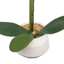 ORCHIDE POT CERAMIQUE CLERA H.52CM