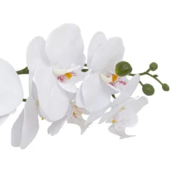 ORCHIDE POT CERAMIQUE CLERA H.52CM