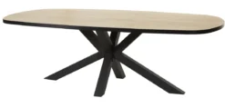OTTO TABLE OVALE 230X119X76CM PIEDS ARAIGNEE