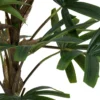 PALMIER BAMBOU OLME H.120CM