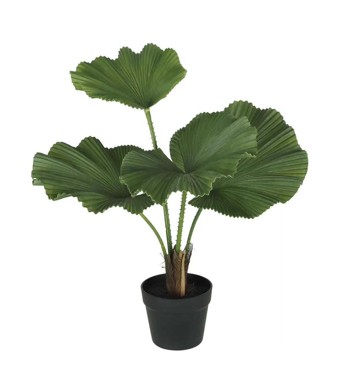 PALMIER 4 FEUILLES POT PLASTIQUE POT H.60CM