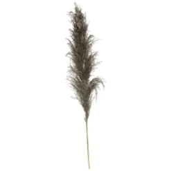 PAMPA NATUREL BRUNE X3 PIECES H.110CM