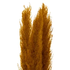 PAMPA NATUREL OCRE X3 PIECES H.110CM