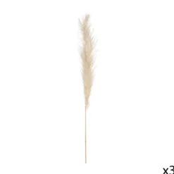 PAMPA NATUREL X3 PIECES H.110CM