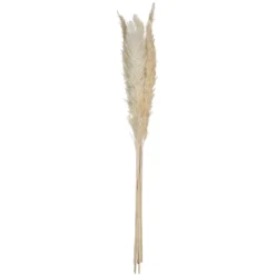 PAMPA NATUREL X6 PIECES H.65CM