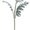 PAVOT CREME H.115CM
