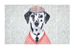 PETER TAPIS RUBBER 45X75CM MULTICOLORE