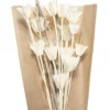 PETIT BOUQUET FLEURS SECHEES NATUREL H.45CM