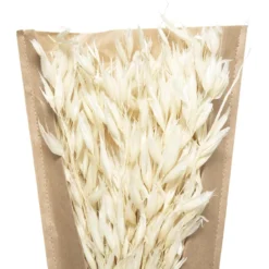 PETIT BOUQUET FLEURS SECHEES NATUREL H.45CM