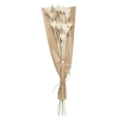PETIT BOUQUET FLEURS SECHEES NATUREL H.45CM