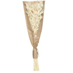 PETIT BOUQUET FLEURS SECHEES NATUREL H.45CM