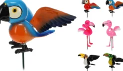 PIC JARDIN OISEAUX TROPICAUX