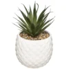 PLANTE ANANAS CERAMIQUE H.21CM