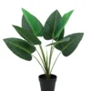 PLANTE ANTHURIUM POT H.70CM